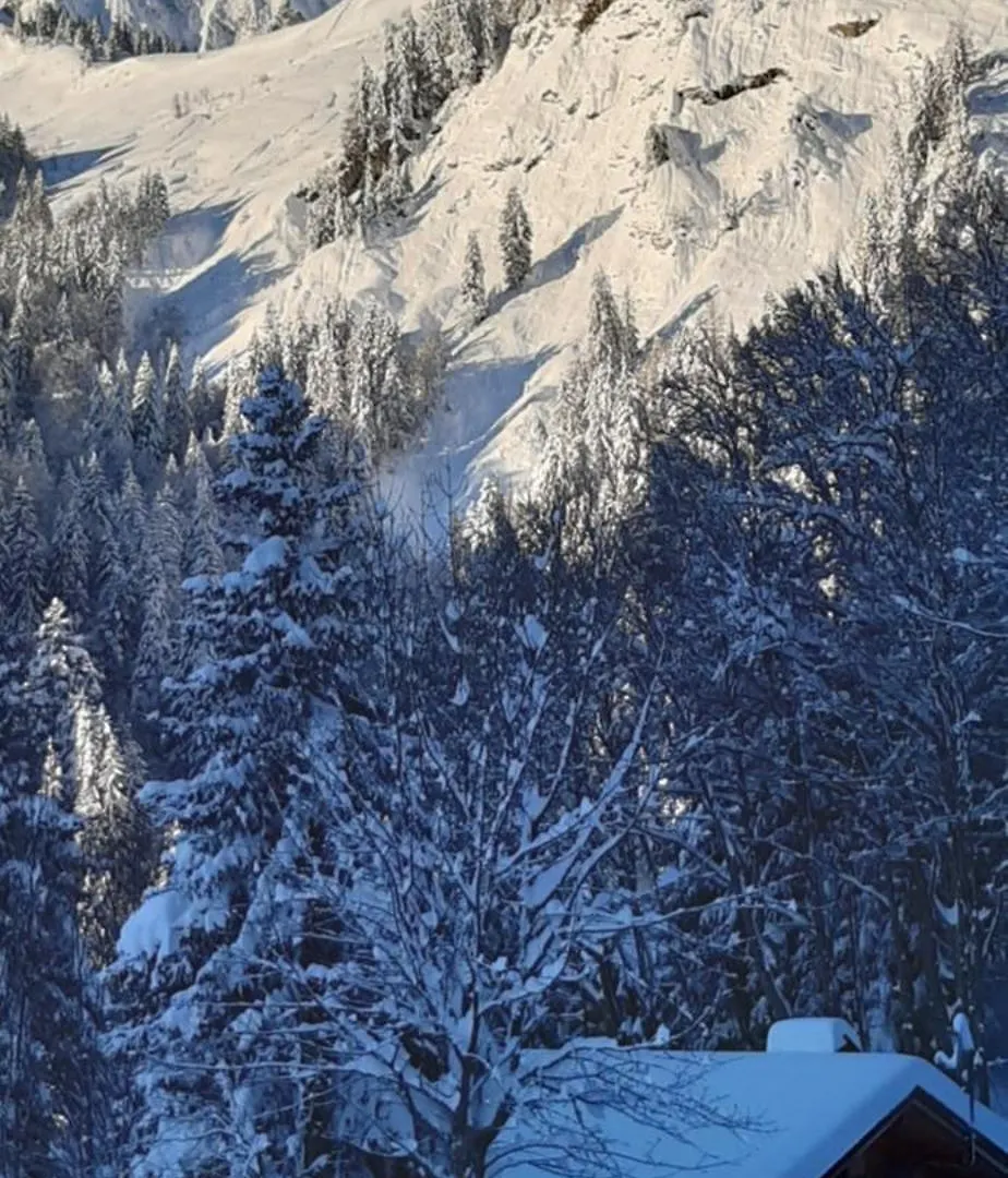 Chalet L'Armoy La Giettaz